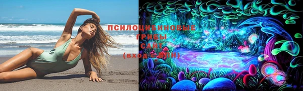 хмурый Алексеевка