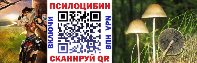 MEGA ONION  Клин  Галлюциногенные грибы прущие грибы 